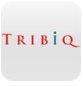 Tribiq Website Editor