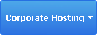 Corporate Hosting